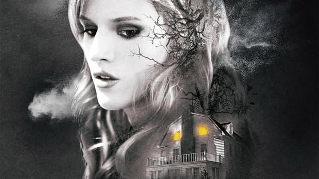 Amityville: O Despertar assista online