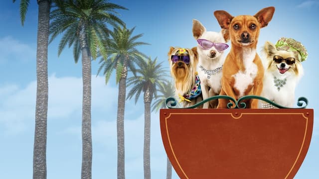 Perdido pra Cachorro assista online