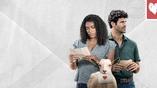 14 Cartas de Amor assista online