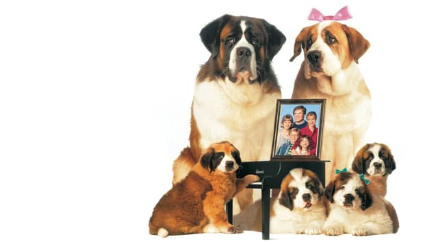 Beethoven 2 assista online