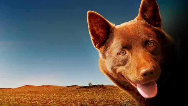 Cão Vermelho assista online