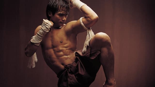 Ong-Bak: Guerreiro Sagrado assista online
