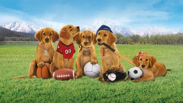 Bud: Uma Nova Cãofusão assista online
