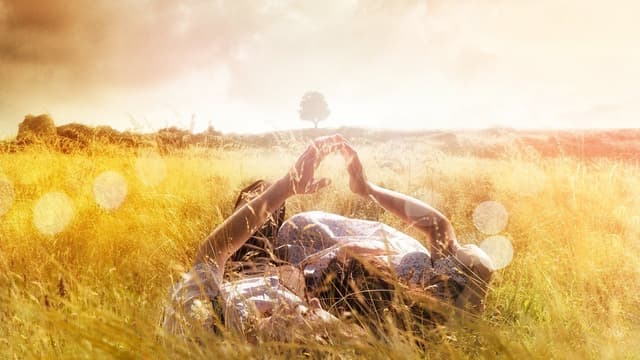 A História do Amor assista online