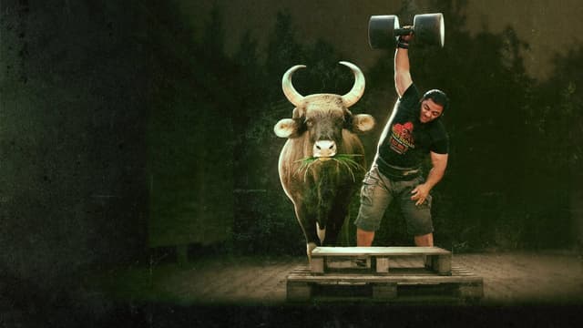 Dieta de Gladiadores assista online