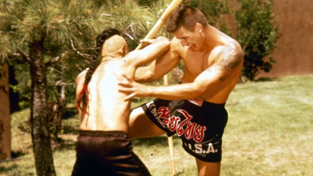 Kickboxer 4: O Agressor assista online