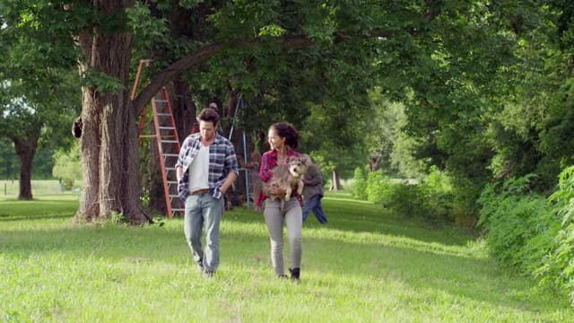Night of the Wild assista online