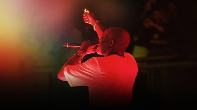 DMX: Don't Try to Understand assista online