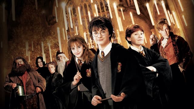 Harry Potter e a Câmara Secreta assista online