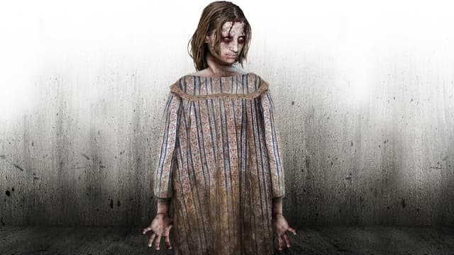 Os Caçadores de Fantasmas assista online