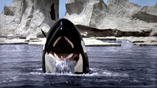 Orca: A Baleia Assassina assista online