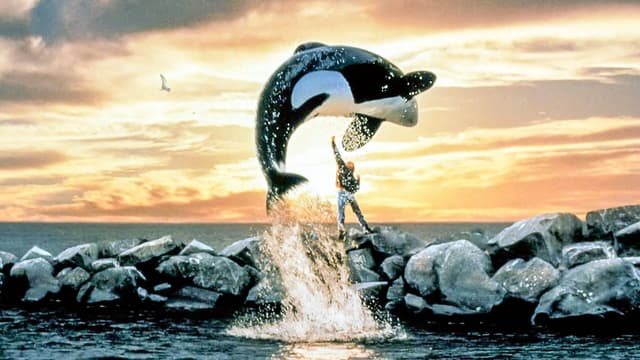 Free Willy assista online