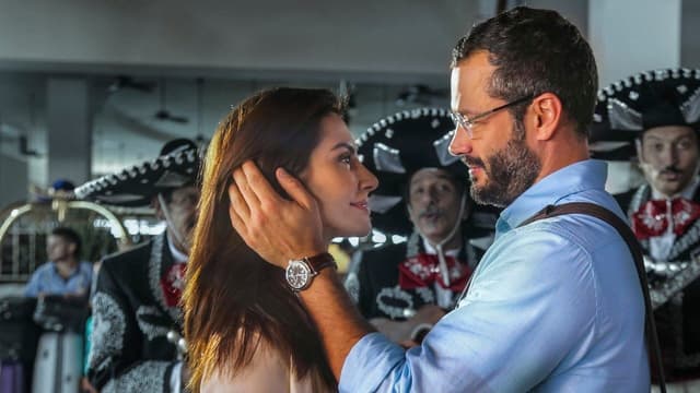 Qualquer Gato Vira-Lata 2 assista online
