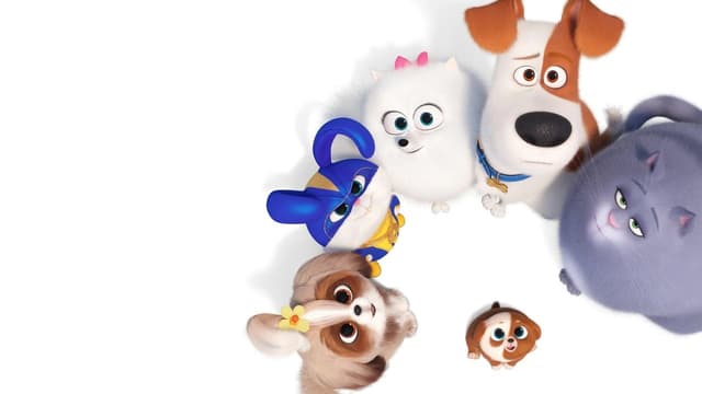 Pets: A Vida Secreta dos Bichos 2 assista online
