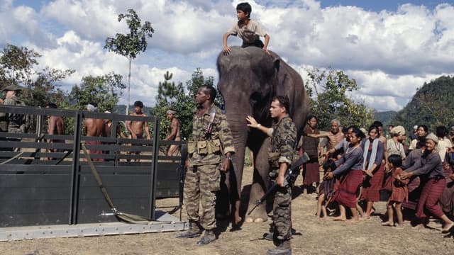 Operação Dumbo assista online