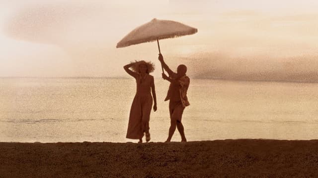 Os Amores de Picasso assista online
