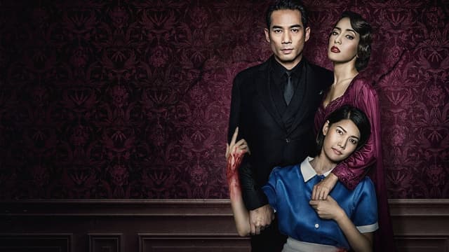 The Maid assista online