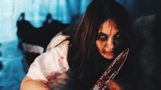 Boneca de Luxo assista online