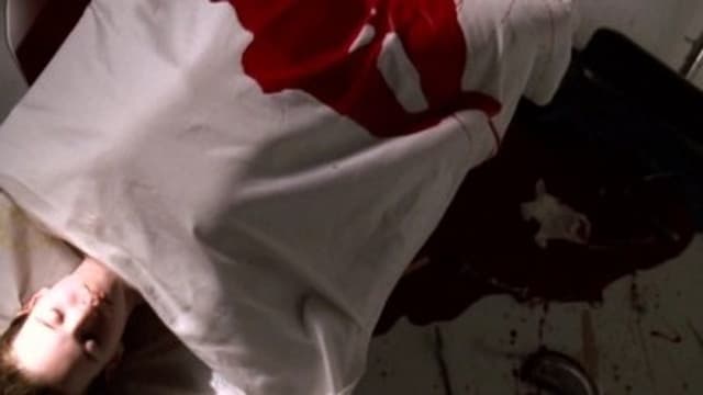assista ao episódio 15 da temporada 1
