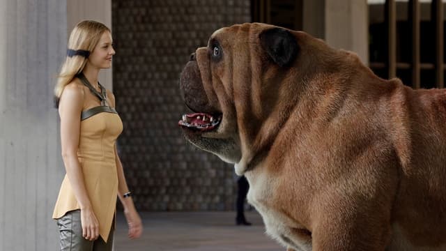 assista ao episódio 1 da temporada 1