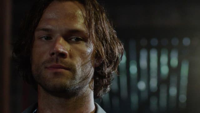 assista ao episódio 2 da temporada 12