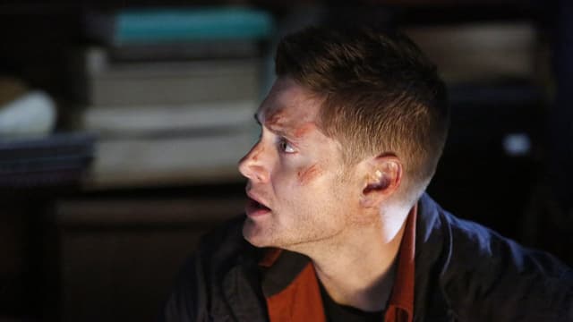assista ao episódio 17 da temporada 11