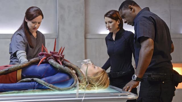 assista ao episódio 13 da temporada 1