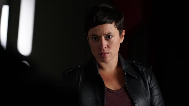 assista ao episódio 14 da temporada 5