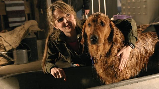 assista ao episódio 14 da temporada 4