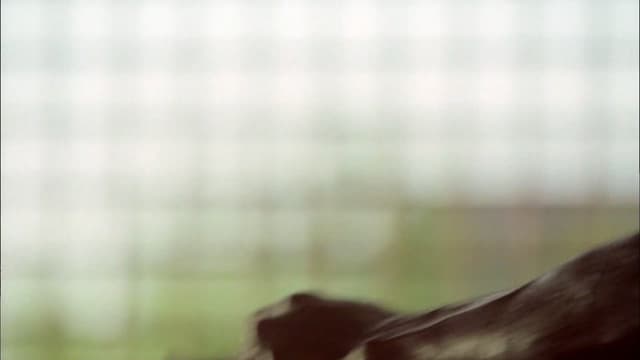 assista ao episódio 3 da temporada 3