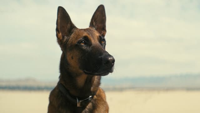 assista ao episódio 7 da temporada 1