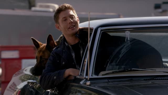 assista ao episódio 5 da temporada 9