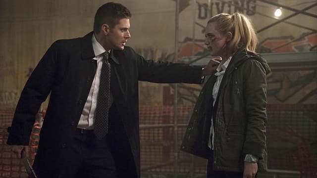 assista ao episódio 12 da temporada 11