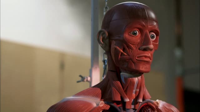 assista ao episódio 14 da temporada 6