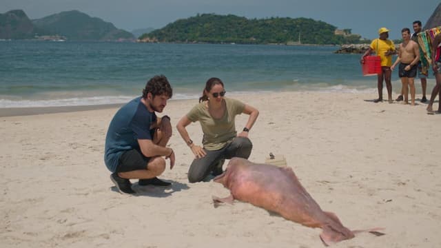 assista ao episódio 1 da temporada 1