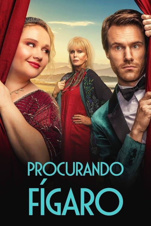 Procurando Fígaro poster