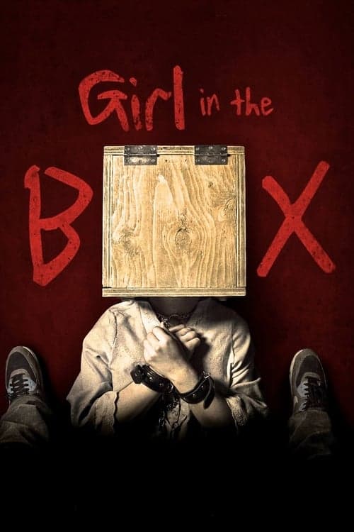 A Garota Na Caixa poster