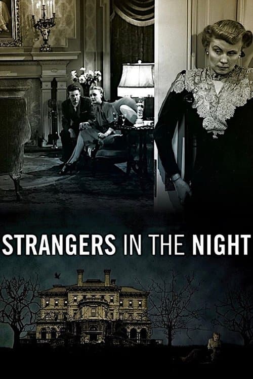Forasteiro da Noite poster
