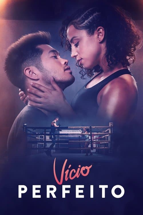 Vício Perfeito poster
