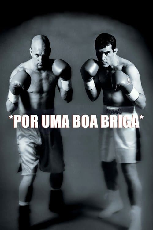 Por uma Boa Briga poster