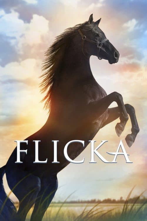 Flicka poster