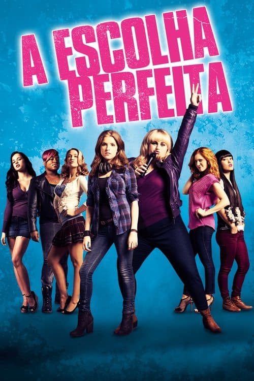 A Escolha Perfeita poster