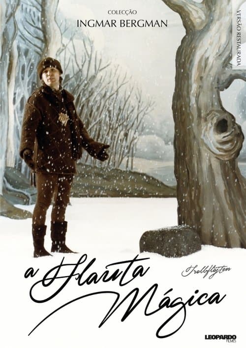 A Flauta Mágica poster