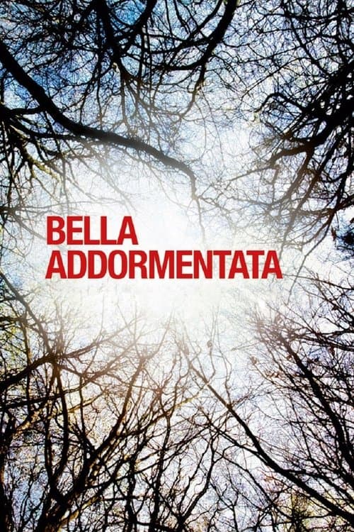 A Bela Que Dorme poster