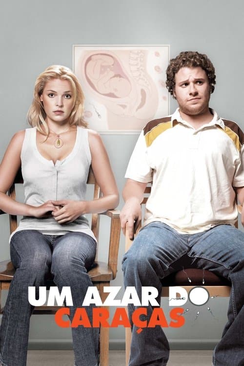 Ligeiramente Grávidos poster