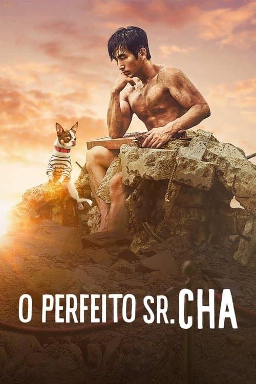 O Perfeito Sr. Cha poster