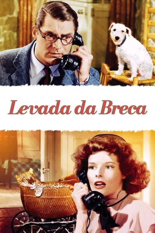Levada da Breca poster