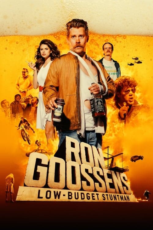Um Dublê Muito Doido poster