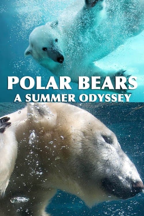 Ursos Polares - Uma Odisseia No Verão poster