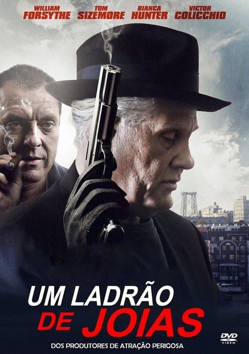 Um Ladrão de Jóias poster
